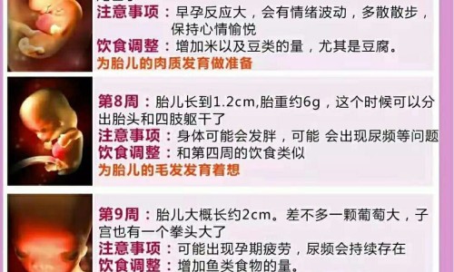 食物地图软件网食物图标下载知识网站,分享食物图标下载大全