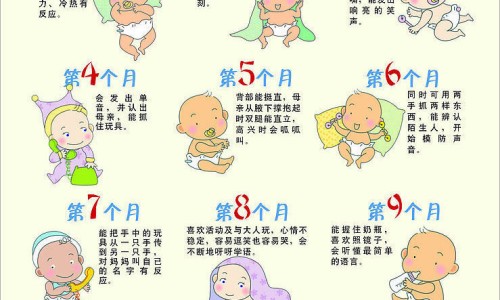 食物地图软件有哪些-食物地图软件网食物图标下载知识网站,分享食物图标下载大全